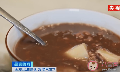 头发爱出油或是因为湿气重 湿气重该怎么办 头发爱出油或是因为湿气重 湿气重该怎么办