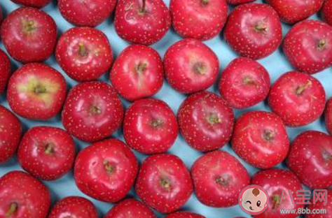 想让炖肉更易软烂制作的过程中可以加入什么 蚂蚁庄园3月26日答案介绍