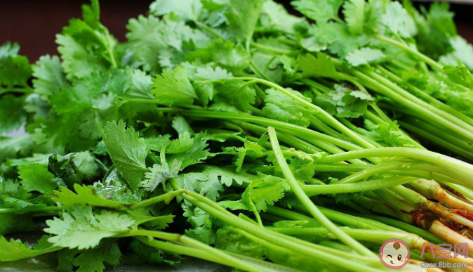 香菜的特殊味道和什么有关 吃香菜有什么好处