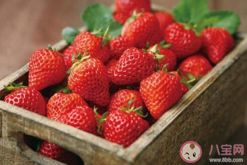 我们平常吃的草莓其实是它的什么部位 蚂蚁庄园3月10日答案最新