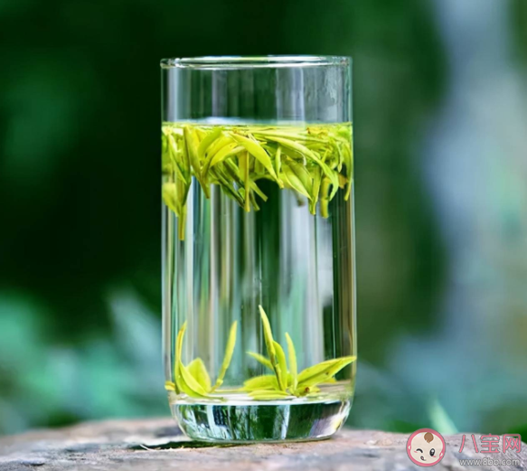 春茶是采摘越早品质越好吗 蚂蚁庄园3月13日答案 春茶是采摘越早品质越好吗 蚂蚁庄园3月13日答案