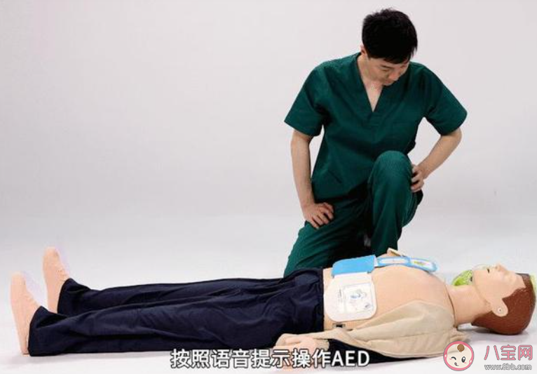 蚂蚁庄园用AED救人时应该按照什么提示来操作 3月22日答案介绍 蚂蚁庄园用AED救人时应该按照什么提示来操作 3月22日答案介绍