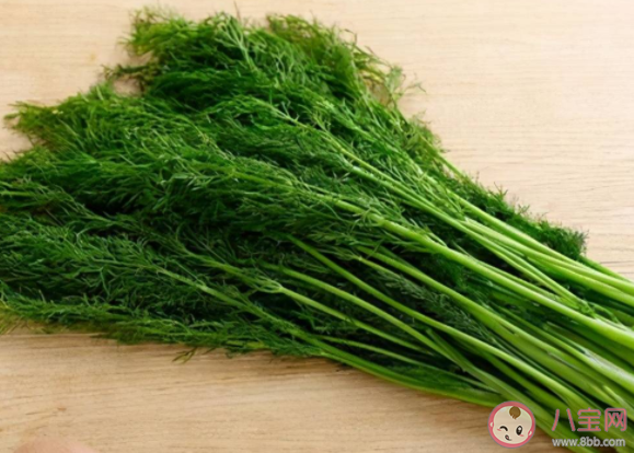 茴香和香菜哪种蔬菜含盐量更高 蚂蚁庄园4月12日正确答案 茴香和香菜哪种蔬菜含盐量更高 蚂蚁庄园4月12日正确答案