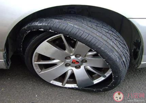 行车过程中发生爆胎下列哪种处理方式是正确的 蚂蚁庄园4月8日答案最新 行车过程中发生爆胎下列哪种处理方式是正确的 蚂蚁庄园4月8日答案最新