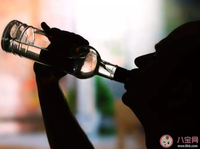 喝酒会变傻吗 到底喝酒有什么危害