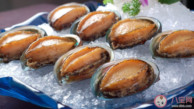 鲍鱼是鱼类吗 蚂蚁庄园3月26日正确答案