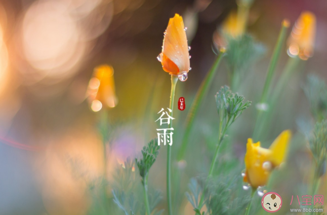 南方谷雨摘茶习俗是为了什么 蚂蚁新村4月19日答案 南方谷雨摘茶习俗是为了什么 蚂蚁新村4月19日答案