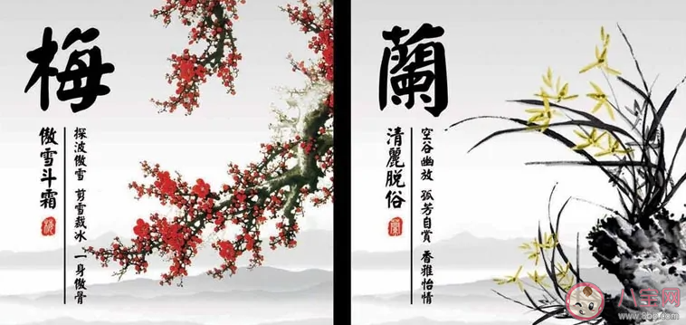 与兰竹菊并称四君子的是什么 蚂蚁新村2月24日答案最新 与兰竹菊并称四君子的是什么 蚂蚁新村2月24日答案最新