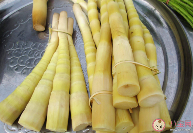 竹笋是春季特色美食哪类人不适合多食 蚂蚁庄园3月5日正确答案