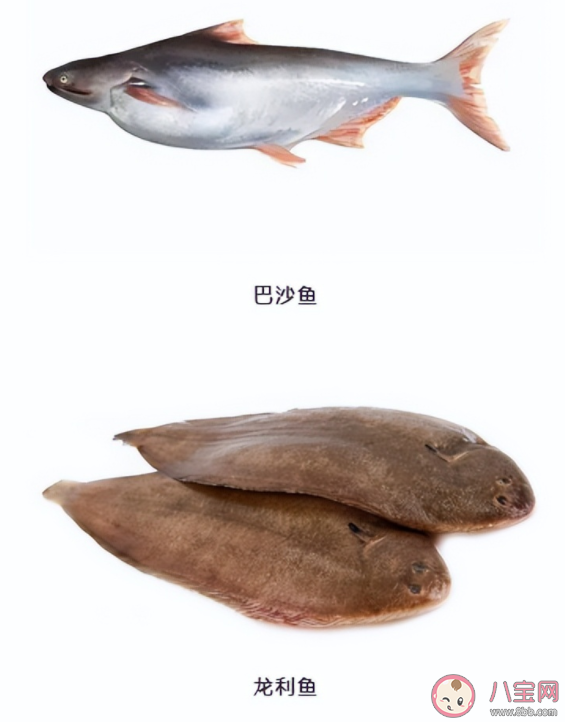 怎么判断是不是假龙利鱼 龙利鱼价格为什么要贵一些