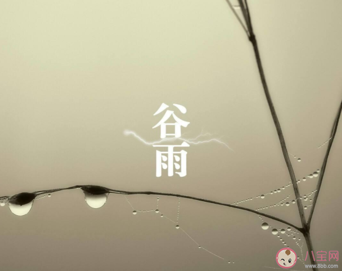 蚂蚁庄园雨前椿芽嫩如丝说的是哪个节气上市的香椿特别鲜嫩 4月20日正确答案 蚂蚁庄园雨前椿芽嫩如丝说的是哪个节气上市的香椿特别鲜嫩 4月20日正确答案