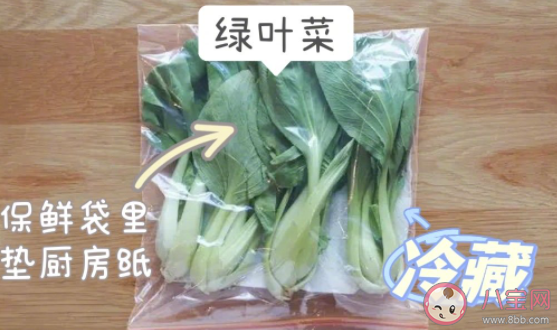 如何正确保存蔬菜 不同种类蔬菜如何保存 如何正确保存蔬菜 不同种类蔬菜如何保存