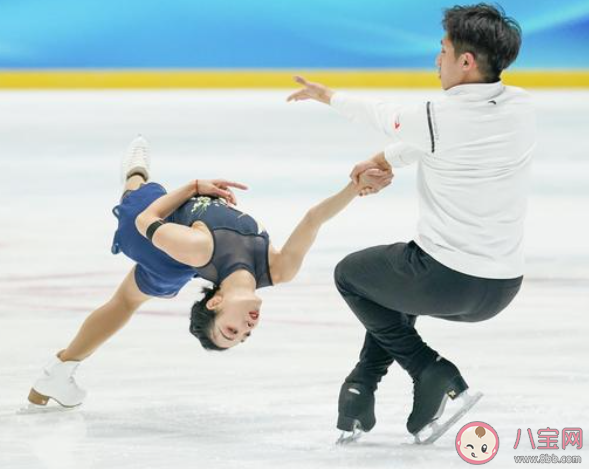 如果花滑选手参赛服上的饰物遗落在冰面会 蚂蚁庄园2月19日答案介绍