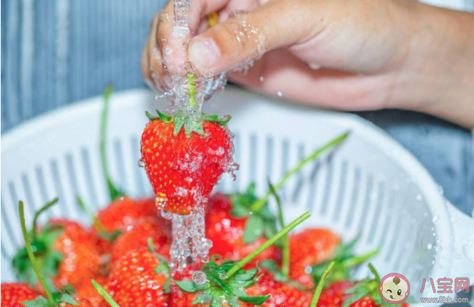 清洗草莓前需要去蒂吗 蚂蚁庄园4月7日问题答案 清洗草莓前需要去蒂吗 蚂蚁庄园4月7日问题答案