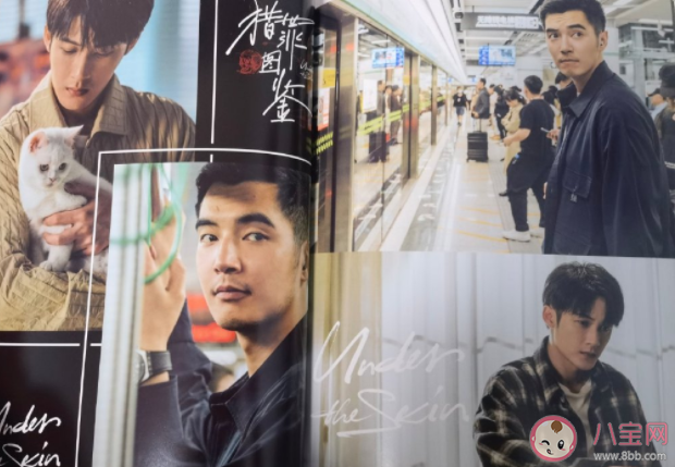 《猎罪图鉴》中有哪些值得关注的细节 你对哪个案件印象深刻 《猎罪图鉴》中有哪些值得关注的细节 你对哪个案件印象深刻