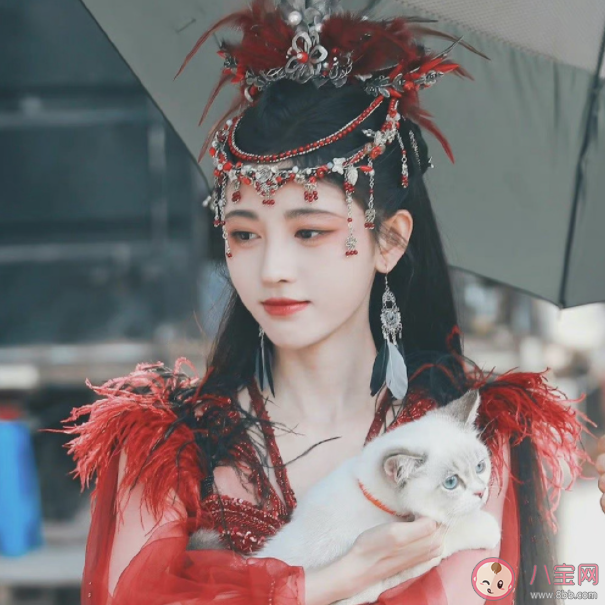 电视剧《花戎》人物关系是怎样的 《花戎》原著小说是什么