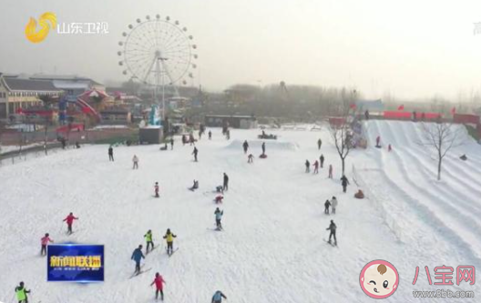 下列哪种食材不会出现在北京冬奥会运动员的菜谱里 蚂蚁庄园2月20日答案介绍