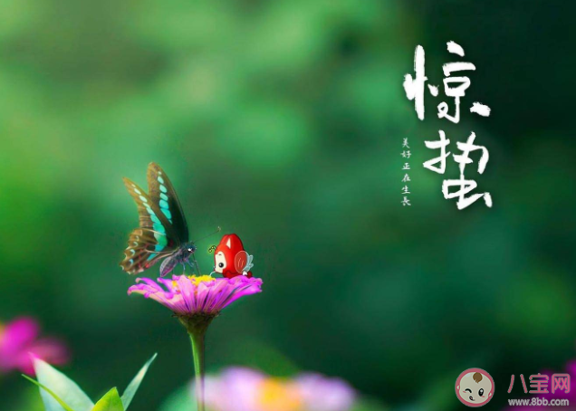 惊蛰时节为什么昆虫们纷纷出洞 蚂蚁庄园3月5日答案解析 惊蛰时节为什么昆虫们纷纷出洞 蚂蚁庄园3月5日答案解析