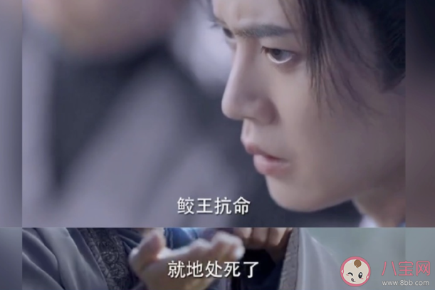 《与君初相识》长意的父亲是怎么死的 长意跌落悬崖后死了吗 《与君初相识》长意的父亲是怎么死的 长意跌落悬崖后死了吗