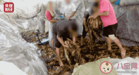 老坛酸菜事件对方便面有多大影响 你怎么样看待老坛酸菜事件