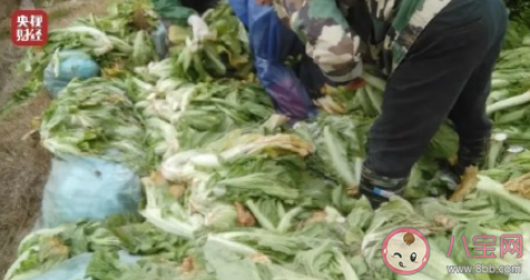 老坛酸菜事件对方便面有多大影响 你怎么样看待老坛酸菜事件