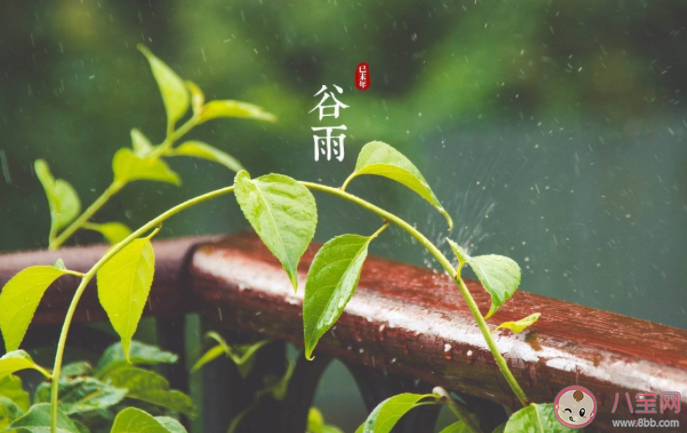 南方谷雨摘茶习俗是为了什么 蚂蚁新村4月19日答案 南方谷雨摘茶习俗是为了什么 蚂蚁新村4月19日答案