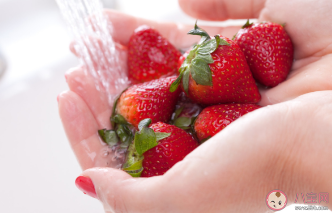 免洗草莓真的不用洗吗 草莓怎么洗吃起来才安全
