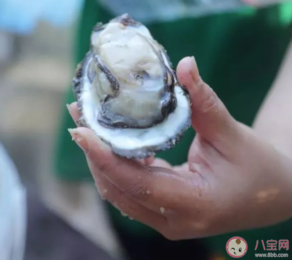 生蚝可以生吃吗 生蚝生吃有什么危害 生蚝可以生吃吗 生蚝生吃有什么危害