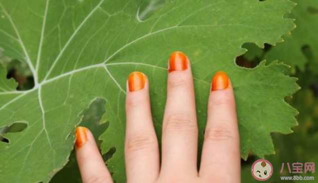 中国古代女子常用哪种植物作为美甲材料 蚂蚁庄园3月2日答案介绍