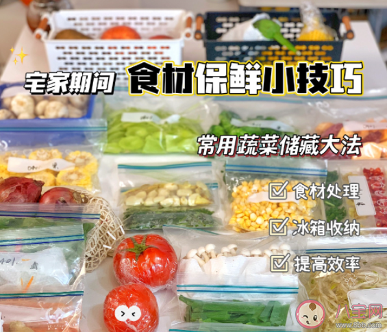 生鲜蔬菜怎么才能保存最久 蔬菜应该如何存放 生鲜蔬菜怎么才能保存最久 蔬菜应该如何存放