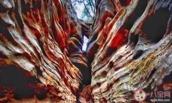 类似美国羚羊谷的地质奇观中江石林谷位于哪里 蚂蚁新村3月1日答案