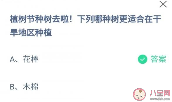 花棒和木棉哪种树更适合在干旱地区种植 蚂蚁庄园3月12日答案解析 花棒和木棉哪种树更适合在干旱地区种植 蚂蚁庄园3月12日答案解析