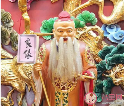 爱不爱他我都是路人甲是什么歌 《月老掉线》完整版歌词在线听歌