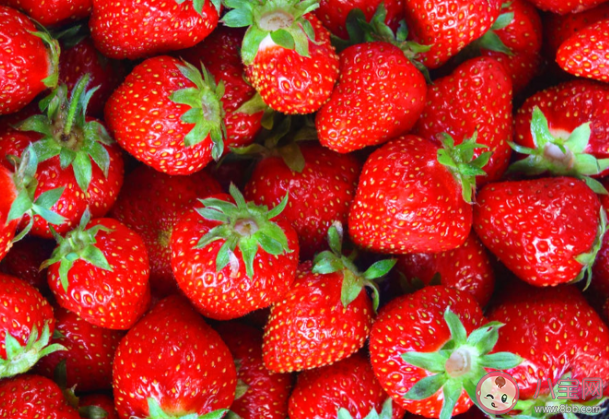蚂蚁庄园3月10日问题答案:平常吃的草莓其实是它的什么部位 蚂蚁庄园3月10日问题答案:平常吃的草莓其实是它的什么部位