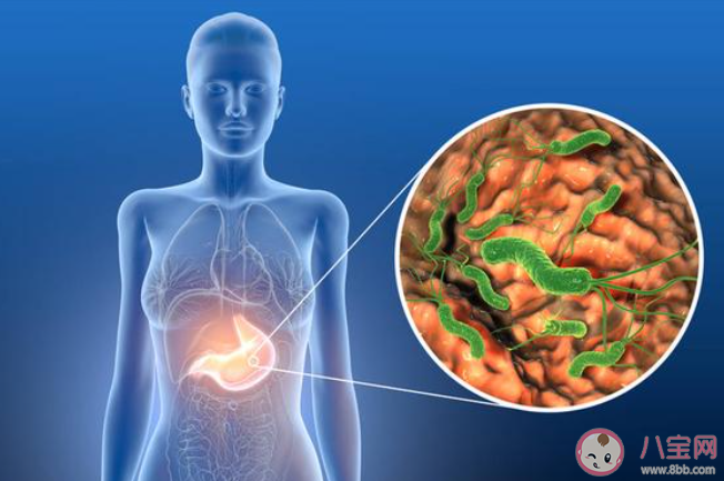 号称能杀灭幽门螺旋杆菌的牙膏真的有用吗 蚂蚁庄园3月9日答案介绍