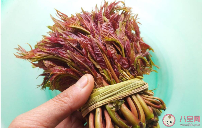 蚂蚁庄园雨前椿芽嫩如丝说的是哪个节气上市的香椿特别鲜嫩 4月20日正确答案 蚂蚁庄园雨前椿芽嫩如丝说的是哪个节气上市的香椿特别鲜嫩 4月20日正确答案