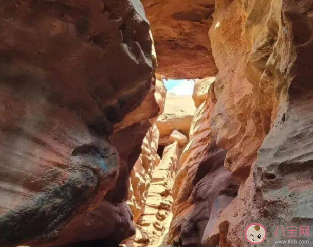 类似美国羚羊谷的地质奇观中江石林谷位于哪里 蚂蚁新村3月1日答案