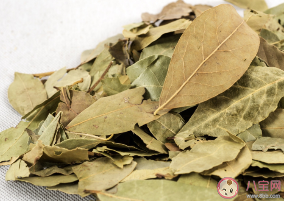 想让炖肉更易软烂在做的过程中是加山楂干还是冰水 蚂蚁庄园3月26日答案