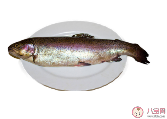 吃鱼胆对眼睛好吗 鱼胆破了怎么处理 吃鱼胆对眼睛好吗 鱼胆破了怎么处理