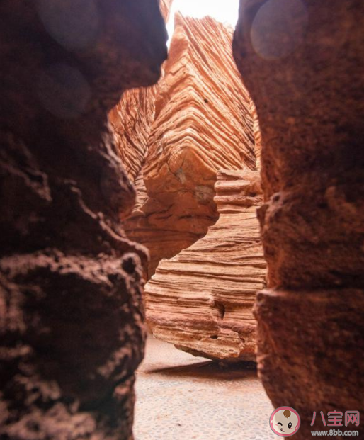 我国江石林谷位于哪里 蚂蚁新村3月1日答案解析