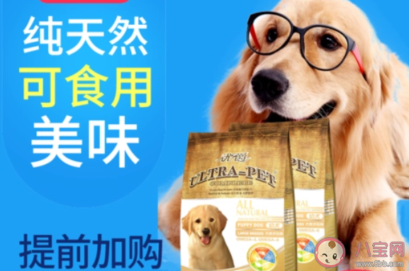 如何保证宠物食品安全 建立宠物食品安全标准有必要吗