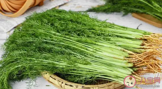 猜猜以下哪种蔬菜含盐量更高 蚂蚁庄园4月12日答案介绍