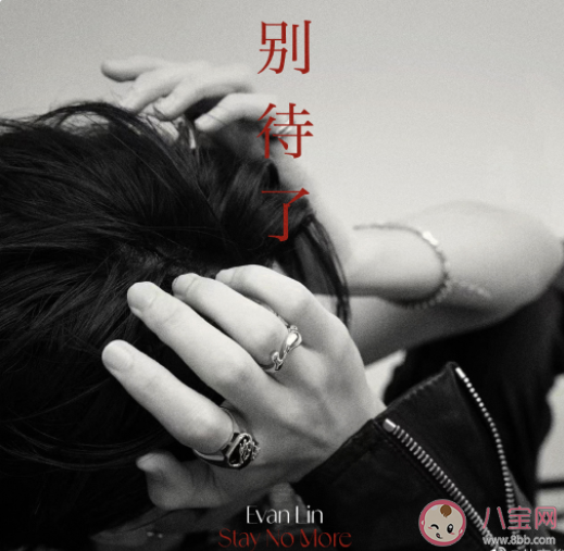 林彦俊新歌《别待了》歌词是什么 《别待了》完整版歌词在线试听