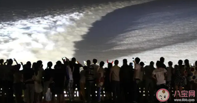 钱塘江观潮的最佳时节是 蚂蚁庄园4月3日答案