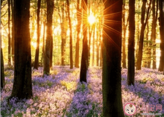 天气变暖和了的朋友圈说说 天气变暖了发朋友圈的句子