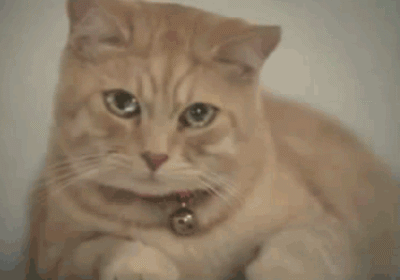 重金求眼是什么意思什么梗 重金求眼辣眼睛无水印gif表情包合集 重金求眼是什么意思什么梗 重金求眼辣眼睛无水印gif表情包合集