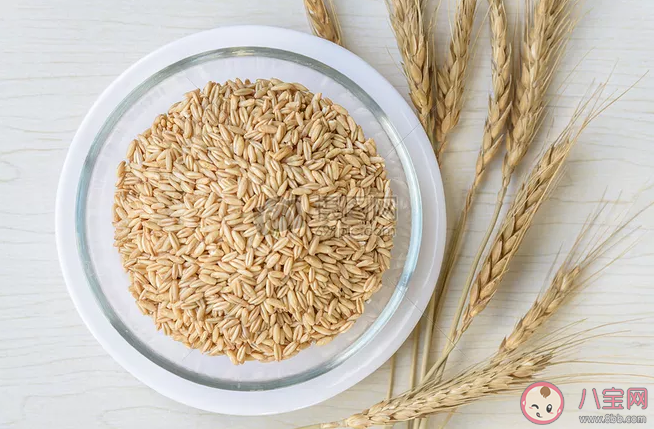 怎么给宝宝家人挑选燕麦 宝宝吃燕麦有什么好处