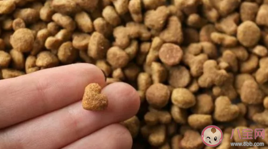 自制狗粮好还是买的狗粮好 自己怎么做狗粮 自制狗粮好还是买的狗粮好 自己怎么做狗粮