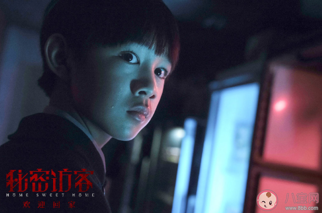 《秘密访客》讲述了什么故事 《秘密访客》好看吗