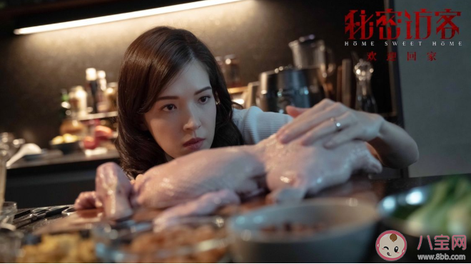 《秘密访客》讲述了什么故事 《秘密访客》好看吗